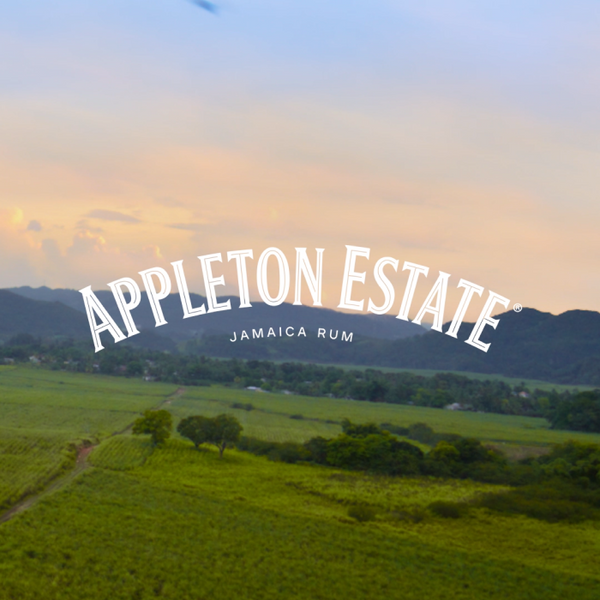 Appleton Estate 21 Year Old 750ML